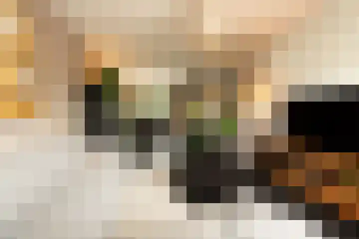 Bachlaan 22 Vlijmen thumbnail 11