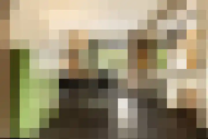 Bachlaan 22 Vlijmen thumbnail 12
