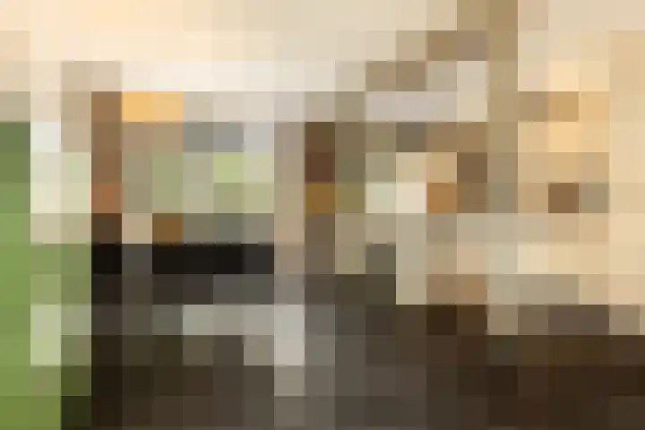 Bachlaan 22 Vlijmen thumbnail 13