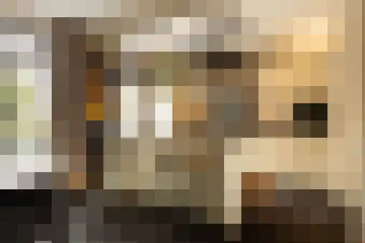 Bachlaan 22 Vlijmen thumbnail 14