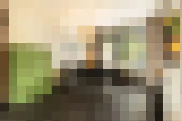 Bachlaan 22 Vlijmen thumbnail 15