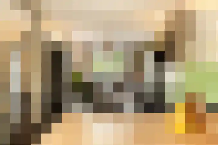 Bachlaan 22 Vlijmen thumbnail 16