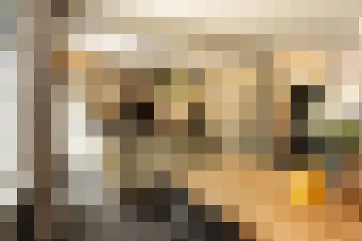 Bachlaan 22 Vlijmen thumbnail 17