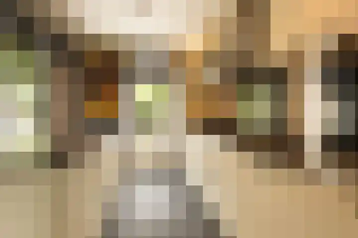 Bachlaan 22 Vlijmen thumbnail 18