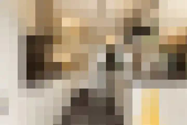Bachlaan 22 Vlijmen thumbnail 19