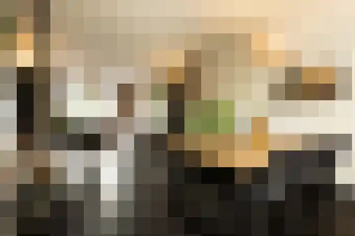 Bachlaan 22 Vlijmen thumbnail 20