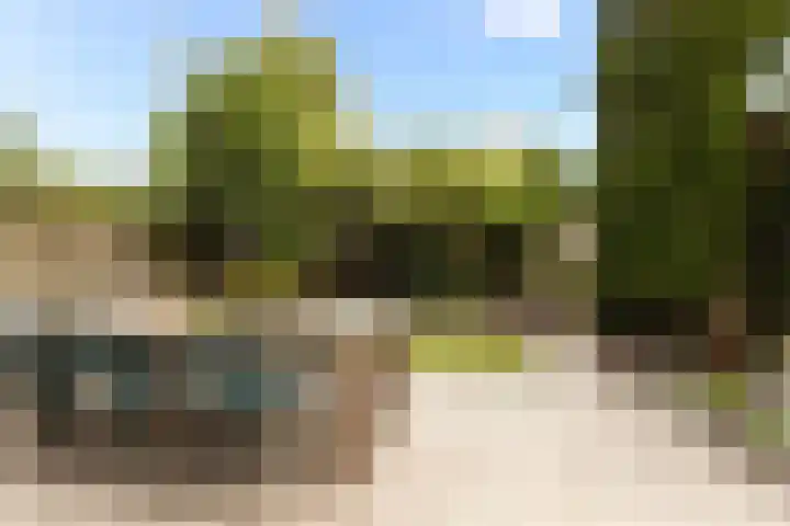 Bachlaan 22 Vlijmen thumbnail 21