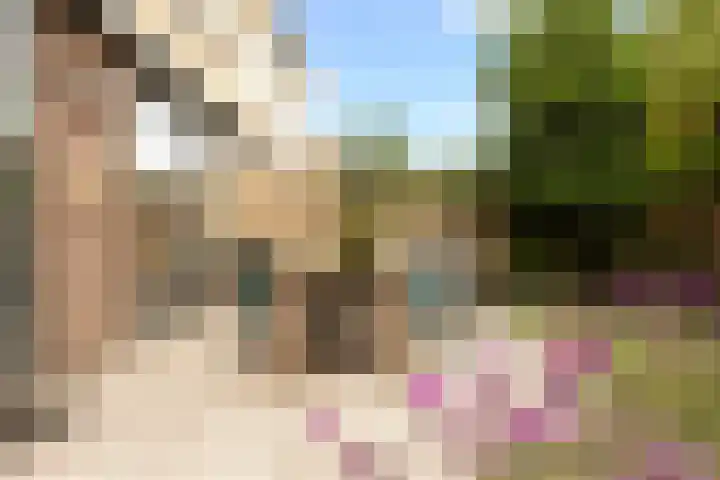 Bachlaan 22 Vlijmen thumbnail 22