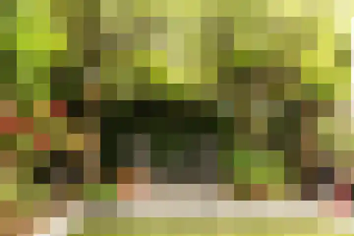 Bachlaan 22 Vlijmen thumbnail 24
