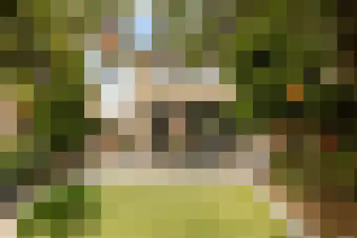 Bachlaan 22 Vlijmen thumbnail 25