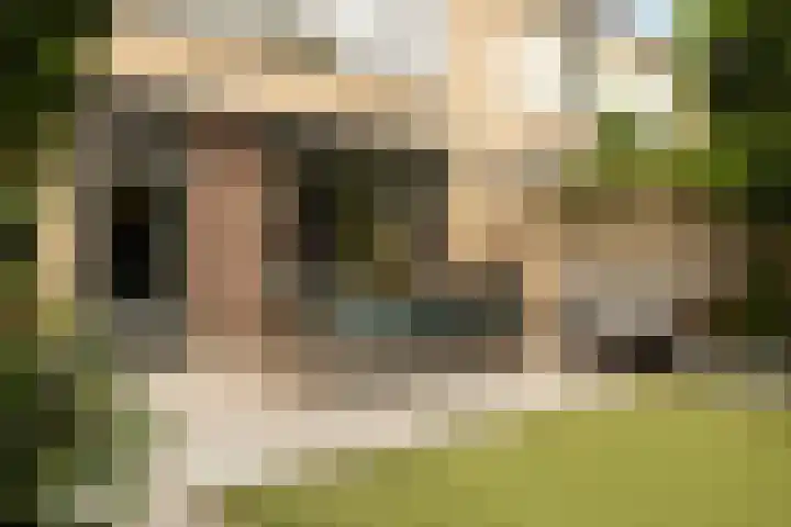 Bachlaan 22 Vlijmen thumbnail 26