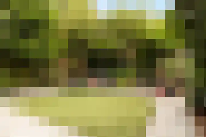 Bachlaan 22 Vlijmen thumbnail 28