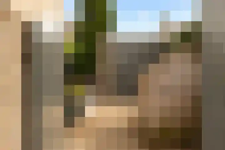 Bachlaan 22 Vlijmen thumbnail 29