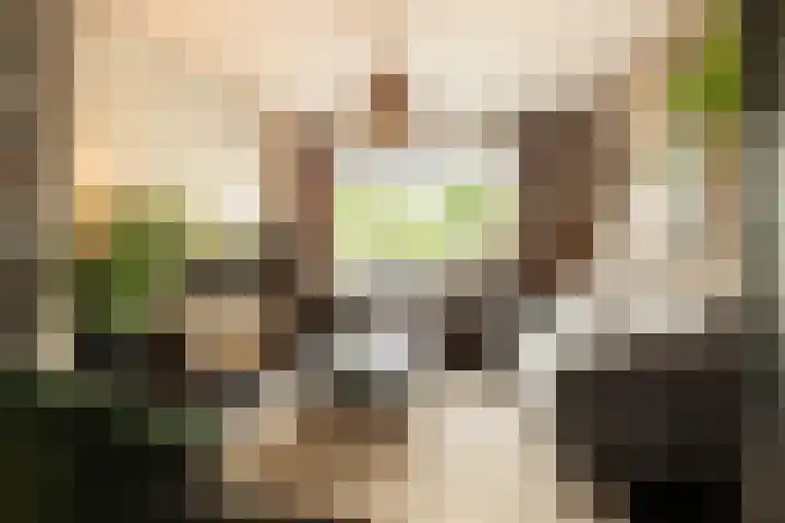Bachlaan 22 Vlijmen foto 3