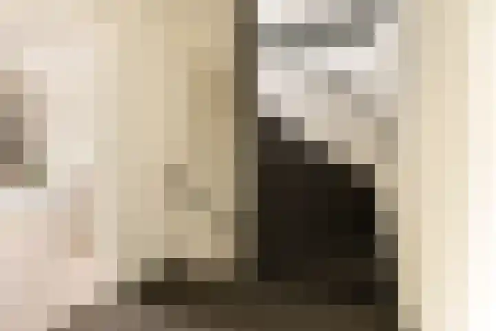 Bachlaan 22 Vlijmen thumbnail 30