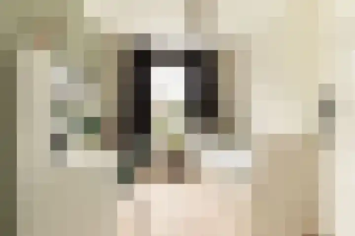 Bachlaan 22 Vlijmen thumbnail 31