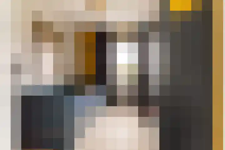 Bachlaan 22 Vlijmen thumbnail 32
