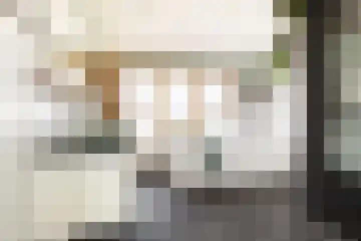 Bachlaan 22 Vlijmen thumbnail 34