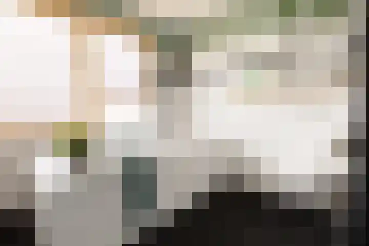 Bachlaan 22 Vlijmen thumbnail 35