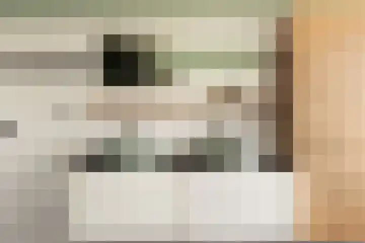 Bachlaan 22 Vlijmen thumbnail 36
