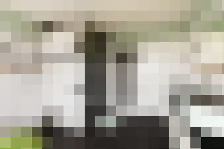 Bachlaan 22 Vlijmen thumbnail 37