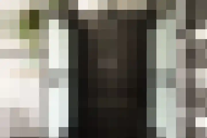 Bachlaan 22 Vlijmen thumbnail 38