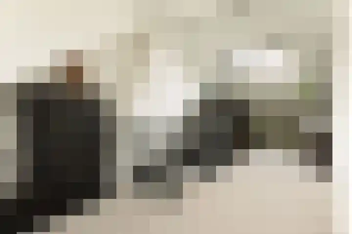 Bachlaan 22 Vlijmen thumbnail 39
