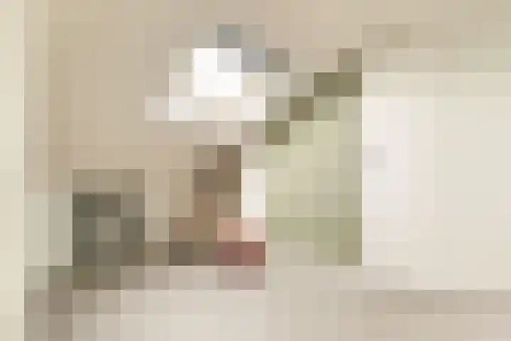 Bachlaan 22 Vlijmen thumbnail 40