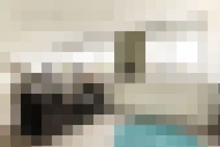 Bachlaan 22 Vlijmen thumbnail 41