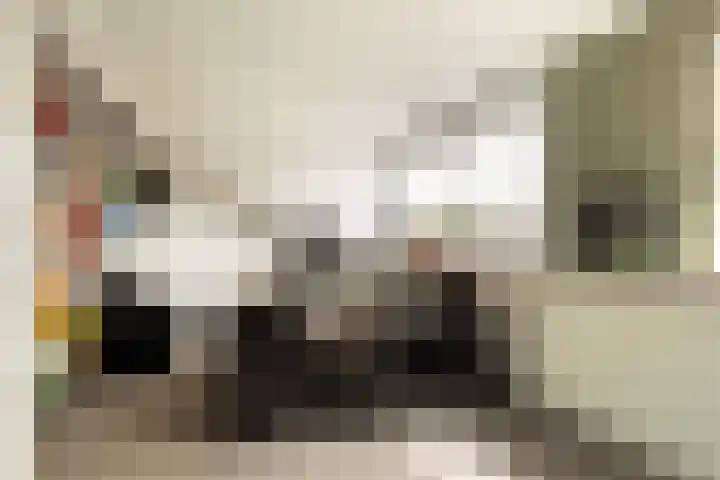 Bachlaan 22 Vlijmen thumbnail 42