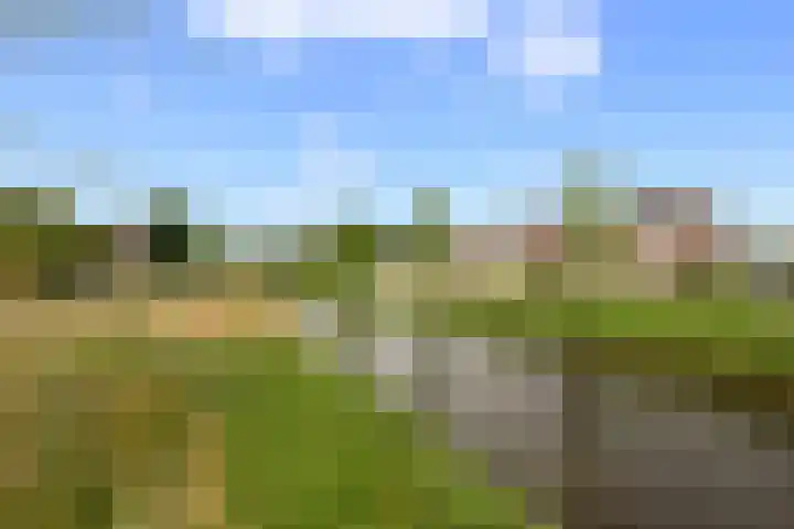 Bachlaan 22 Vlijmen thumbnail 44
