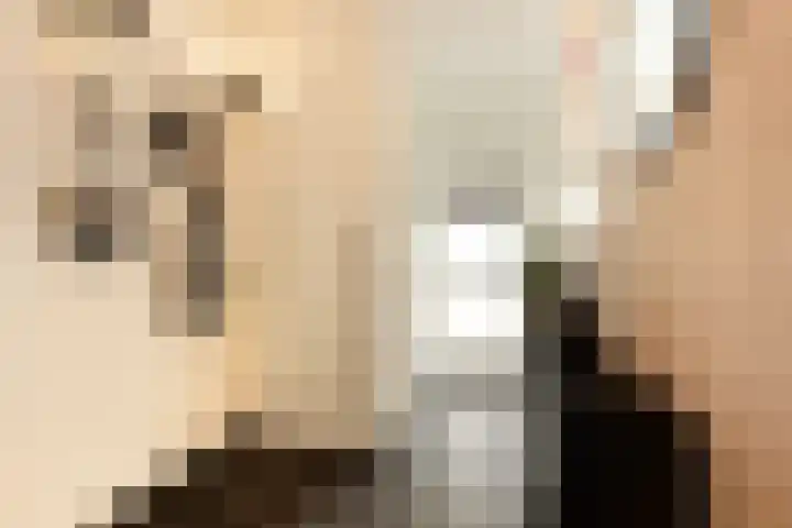 Bachlaan 22 Vlijmen thumbnail 7