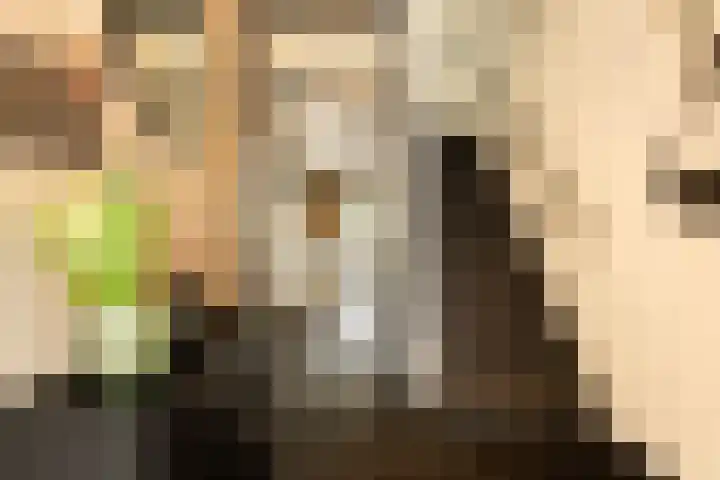 Bachlaan 22 Vlijmen thumbnail 8