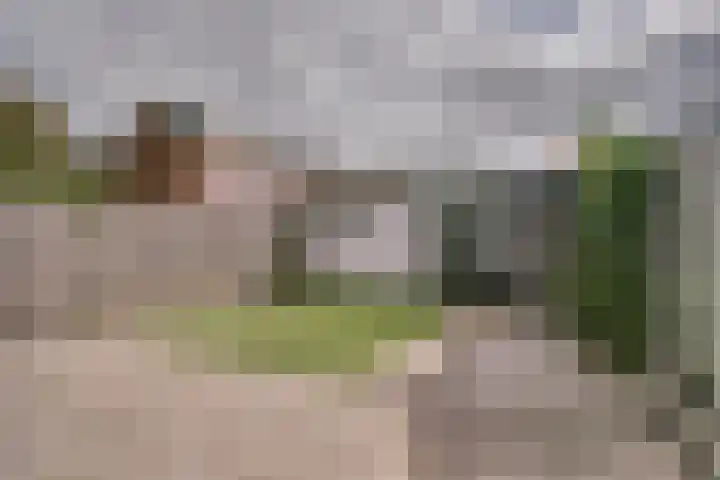 Bachlaan 24 Naaldwijk thumbnail 11