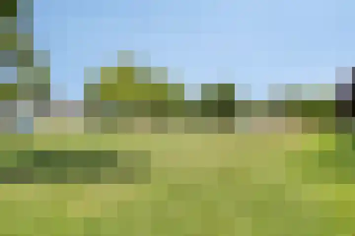Bachlaan 25 Terneuzen thumbnail 26