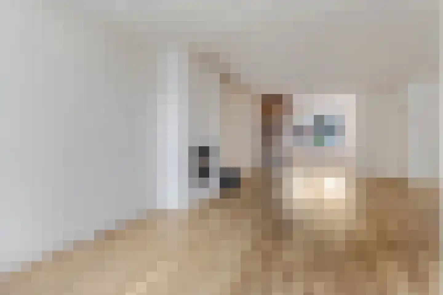 Bachlaan 25 Voorthuizen thumbnail 10