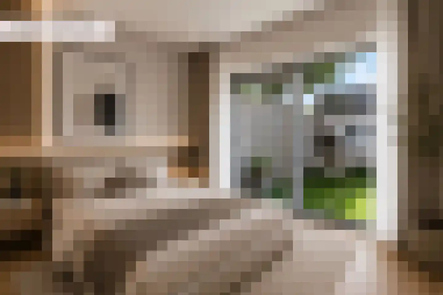 Bachlaan 25 Voorthuizen thumbnail 18