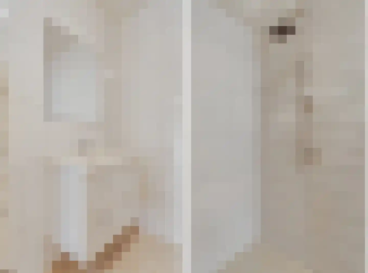 Bachlaan 25 Voorthuizen thumbnail 23