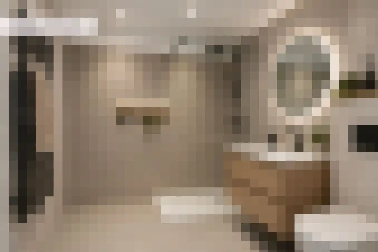 Bachlaan 25 Voorthuizen thumbnail 35