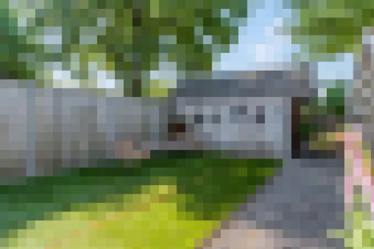 Bachlaan 25 Voorthuizen thumbnail 38