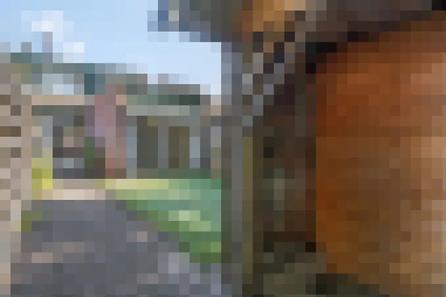 Bachlaan 25 Voorthuizen thumbnail 39