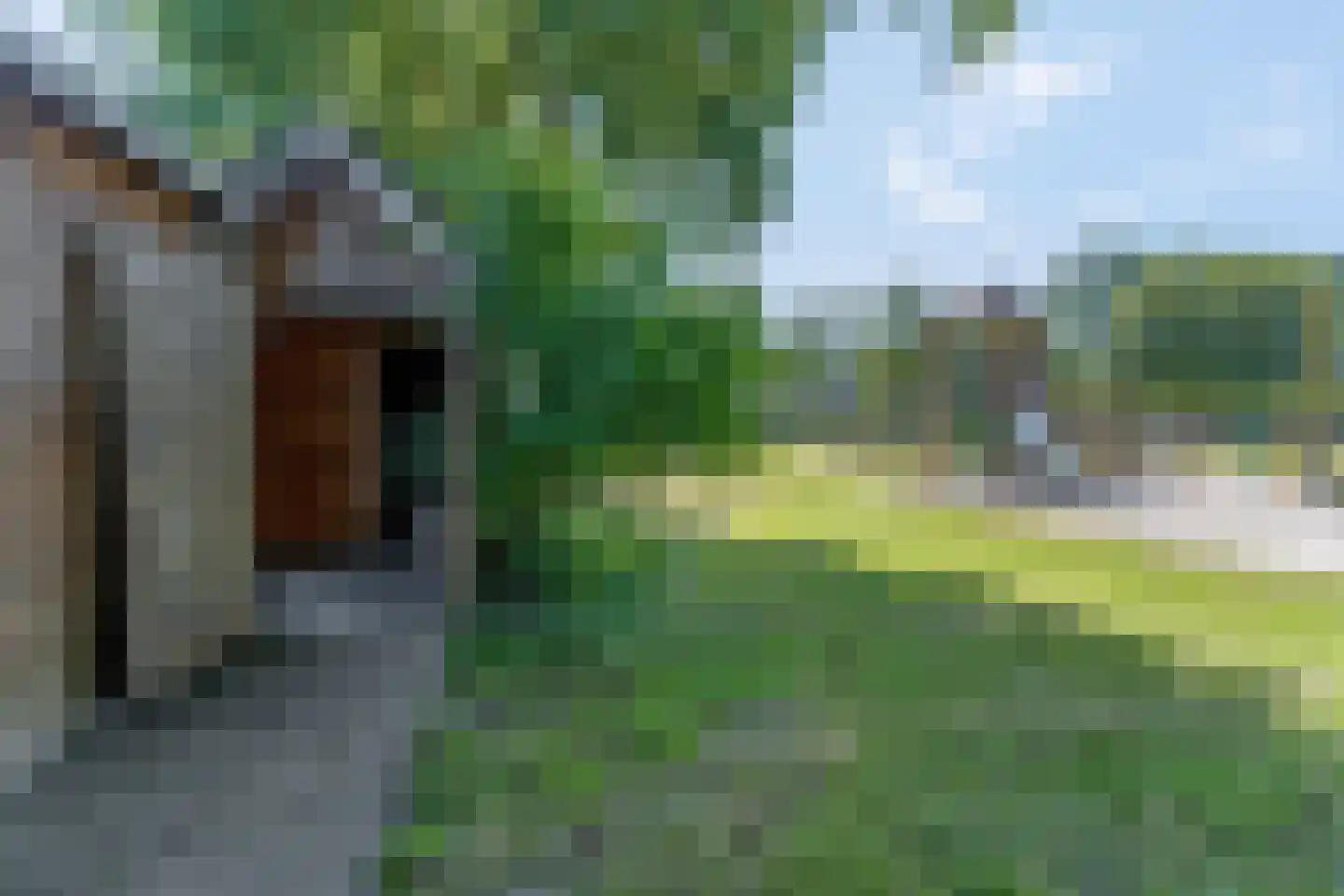 Bachlaan 25 Voorthuizen thumbnail 40