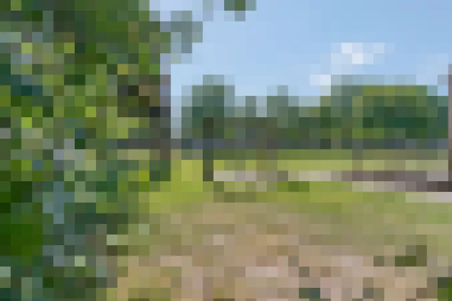 Bachlaan 25 Voorthuizen thumbnail 42