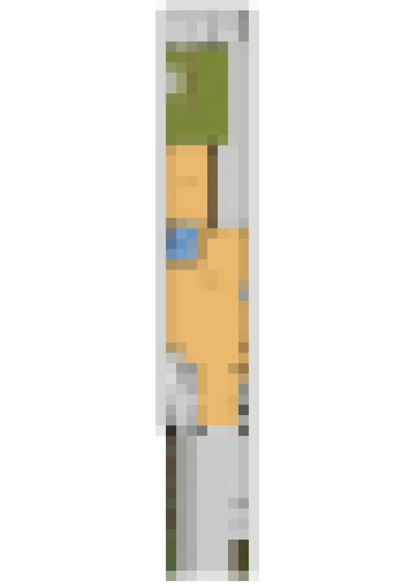 Bachlaan 25 Voorthuizen thumbnail 48