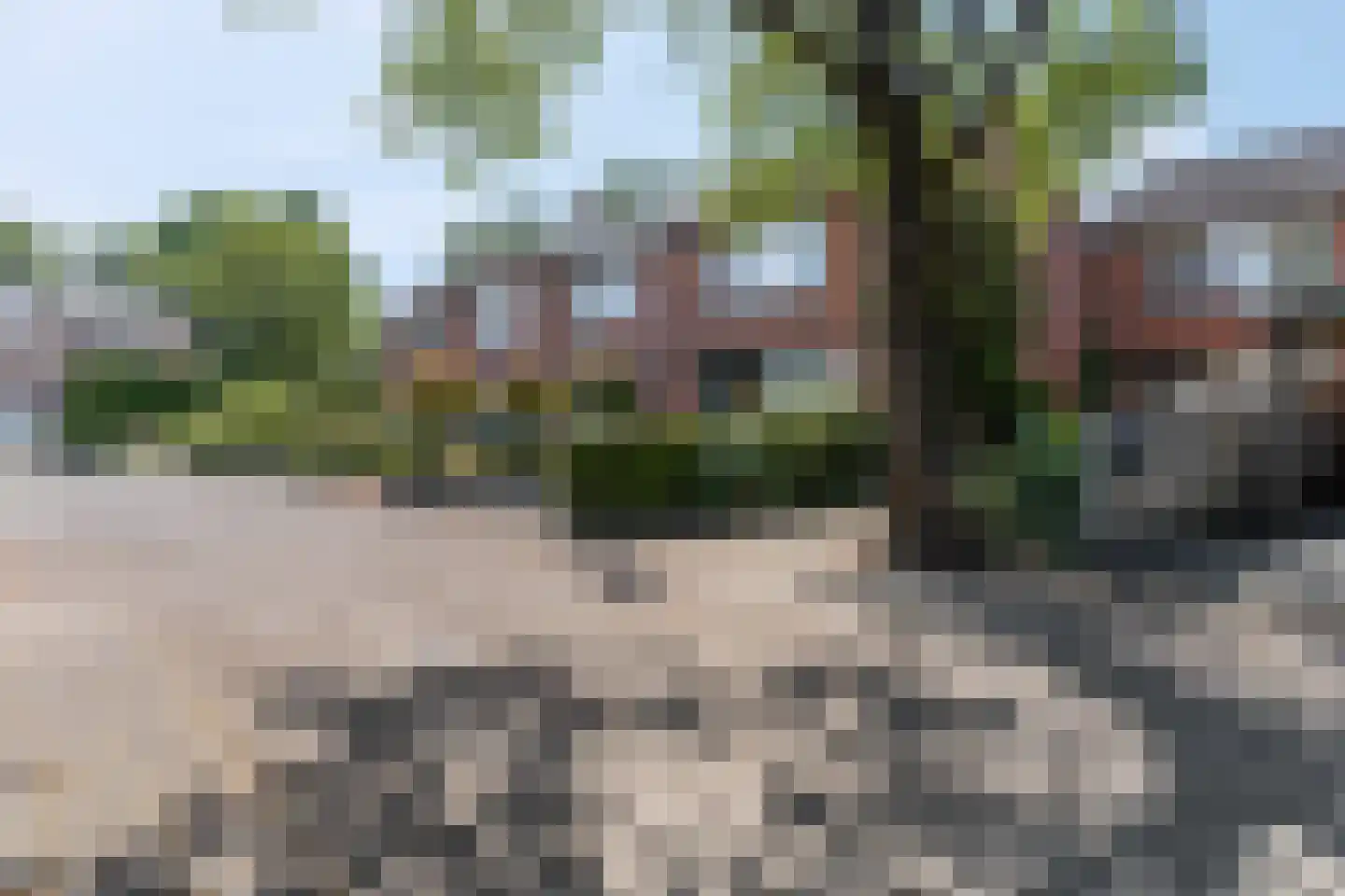 Bachlaan 25 Voorthuizen thumbnail 8