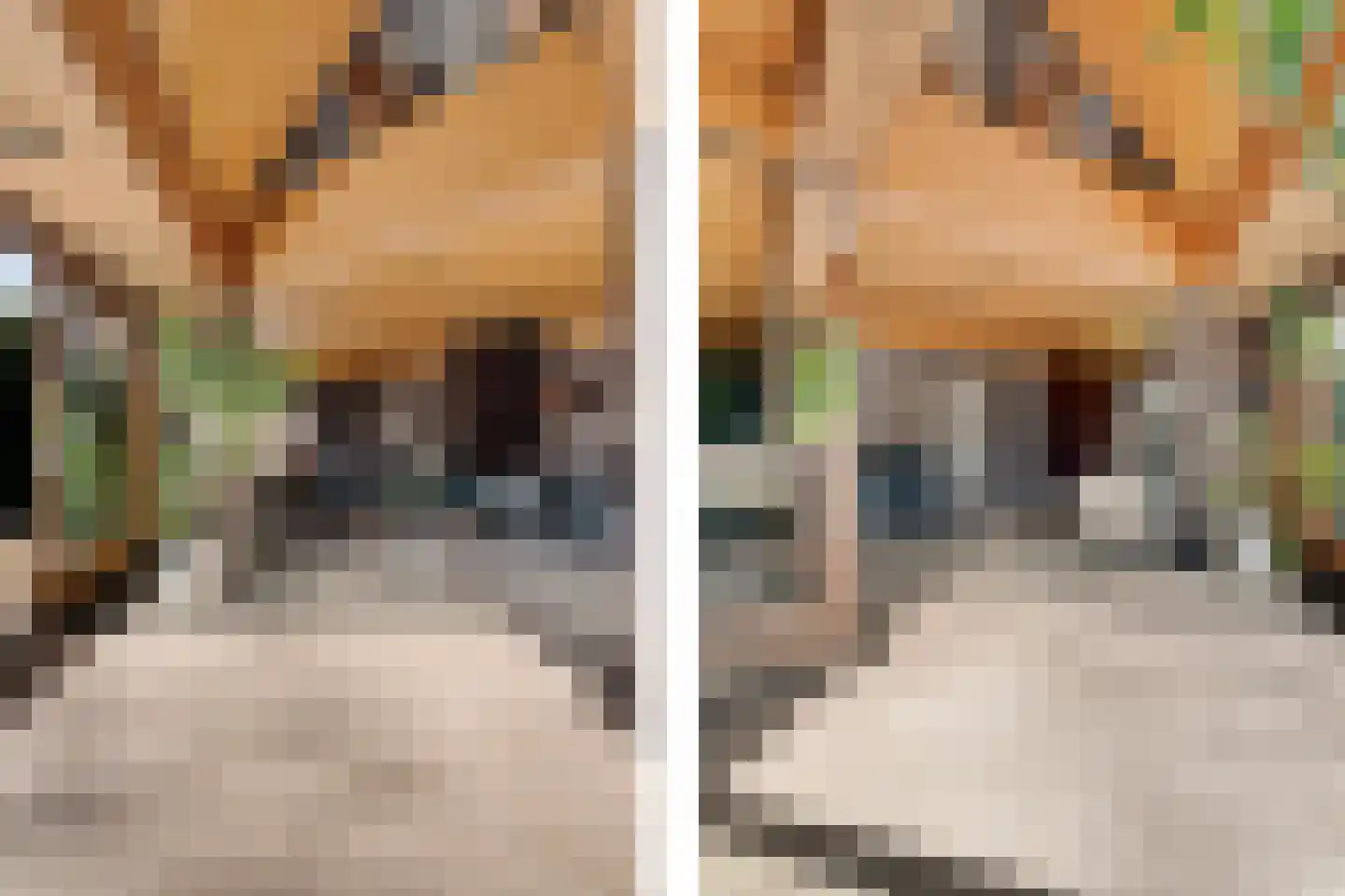Bachlaan 26 Oss thumbnail 10