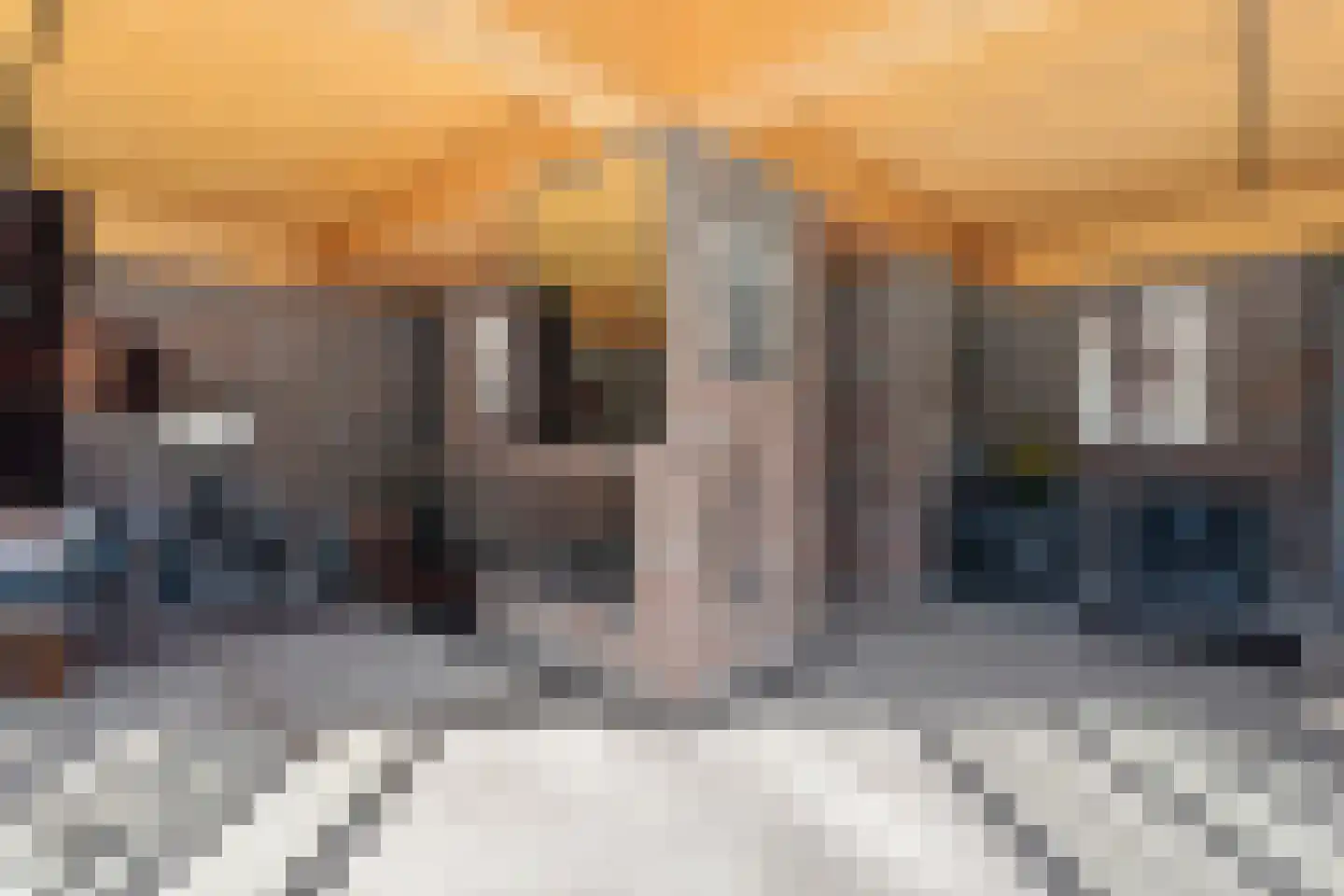 Bachlaan 26 Oss thumbnail 11