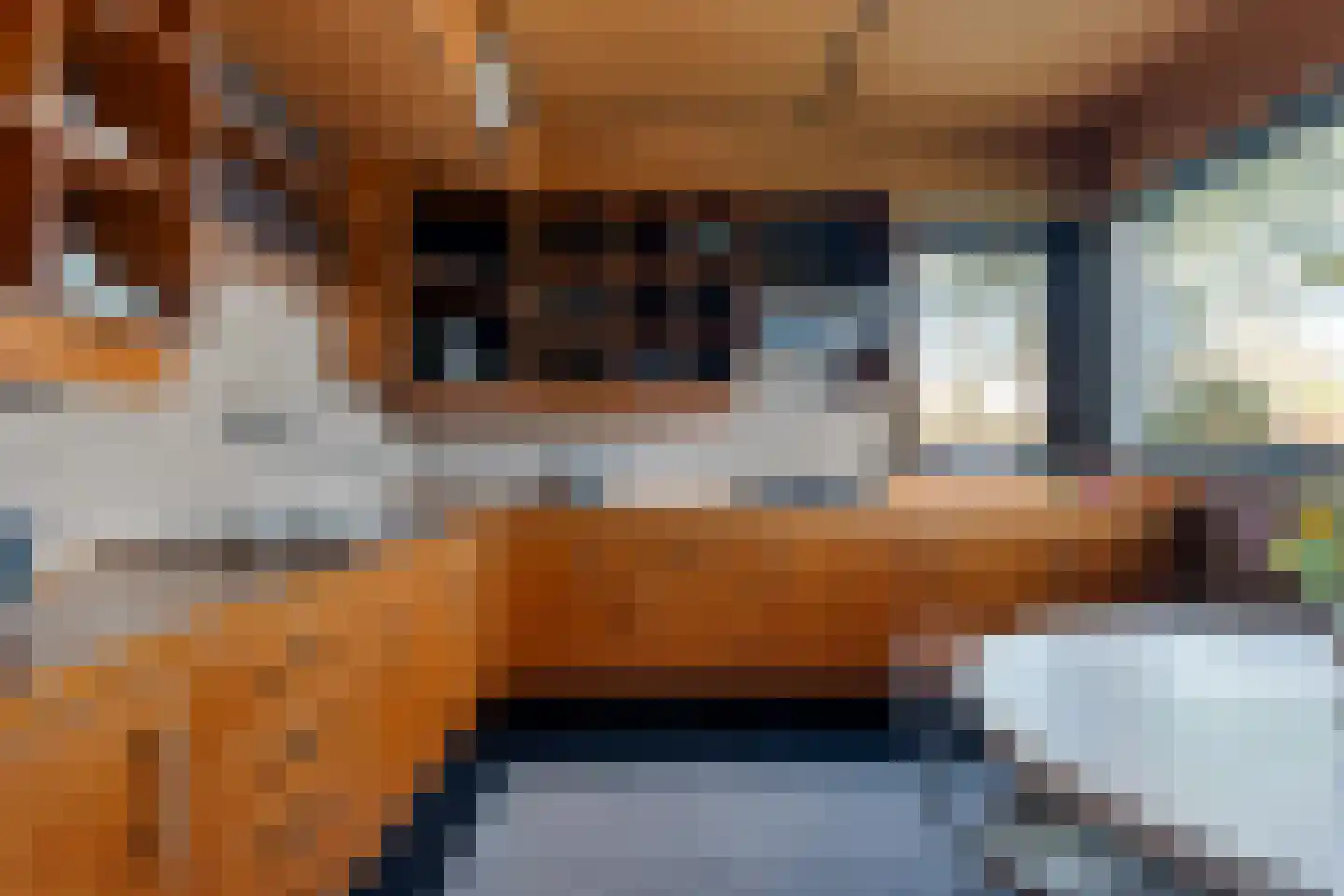 Bachlaan 26 Oss thumbnail 12