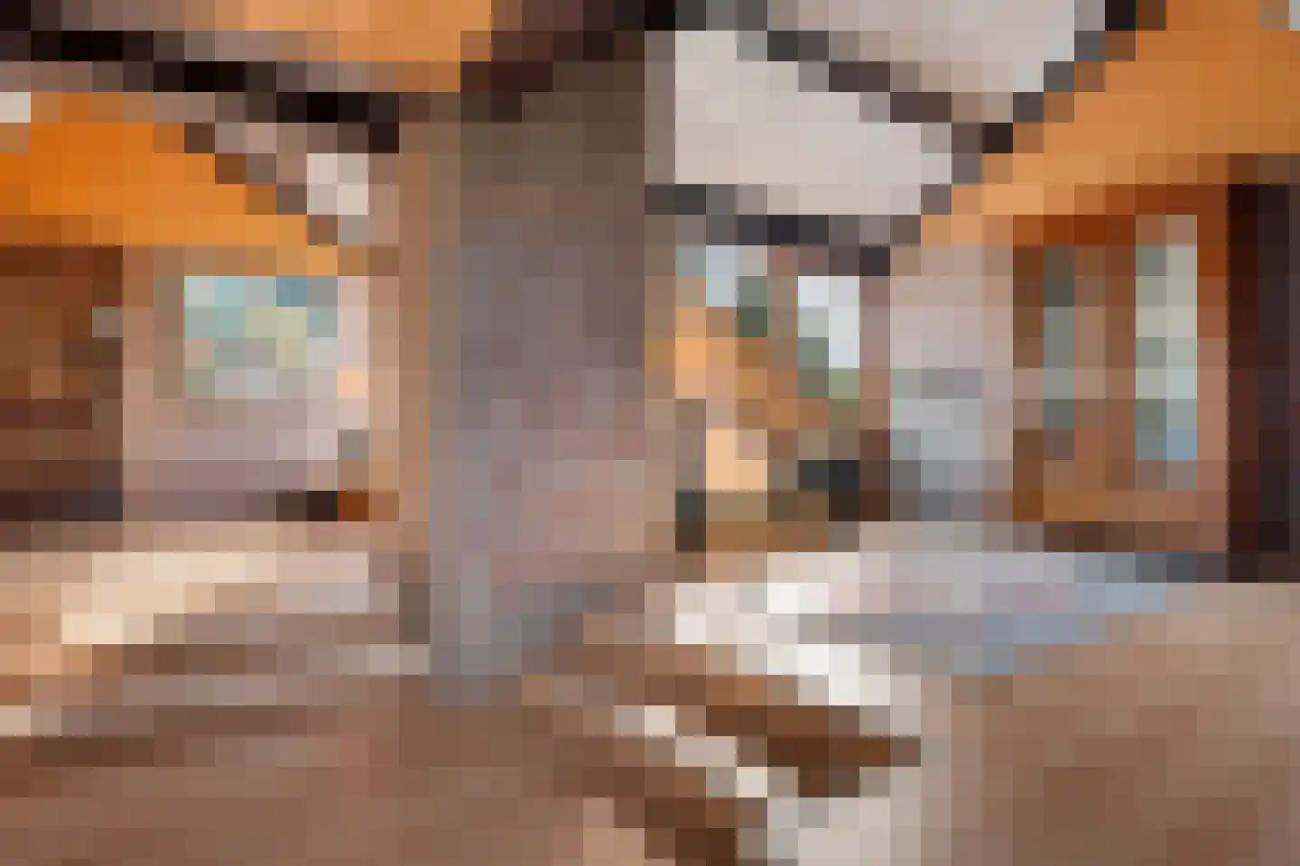 Bachlaan 26 Oss thumbnail 19