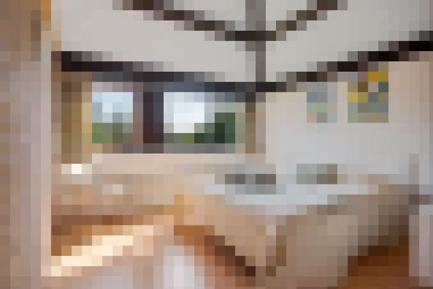 Bachlaan 26 Oss thumbnail 22